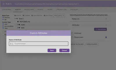 Custom Attributes