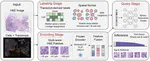 Halfway Through OSRE 2026: Progress on CellQuery-ST